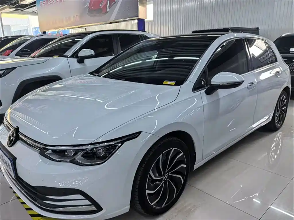 Volkswagen Golf 2021 280TSI DSG Pro Launch Edition фото 2