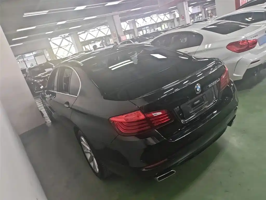 BMW 5 Series 2014 535Li Leadership фото 5