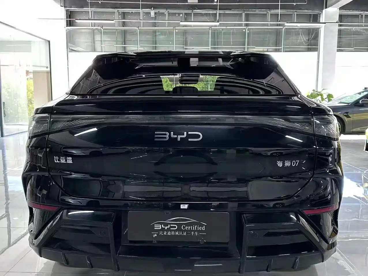 BYD Sealion 07 EV 2024 610 Long Range Edition фото 11