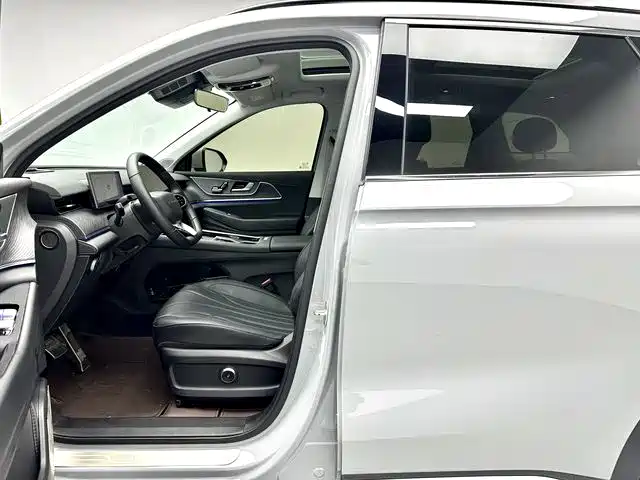 2025 Chery Fengyun Fengyun T9