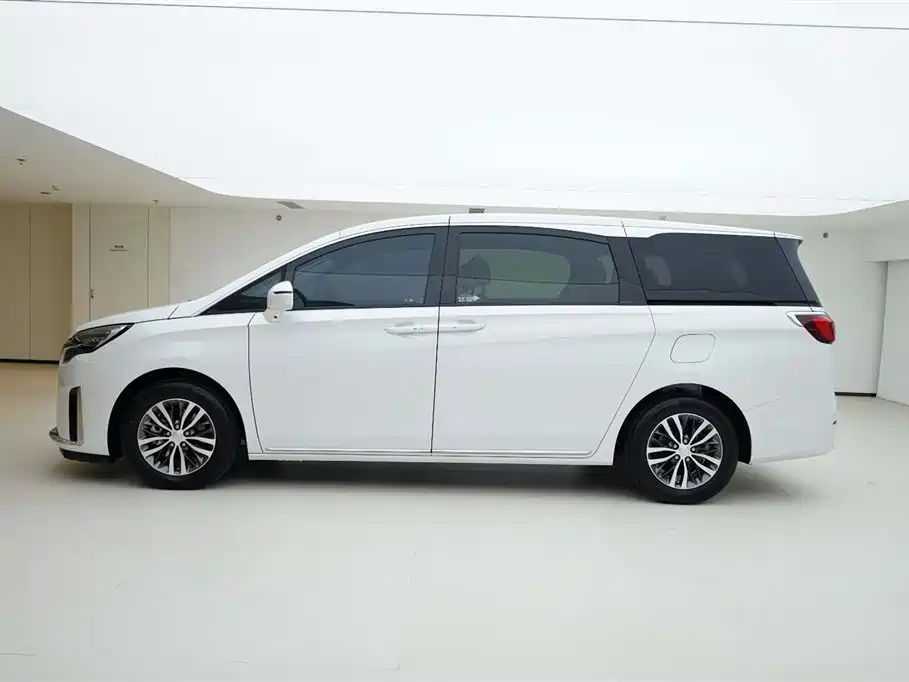 Buick GL8 2023 ES Landmaster Comfort фото 3