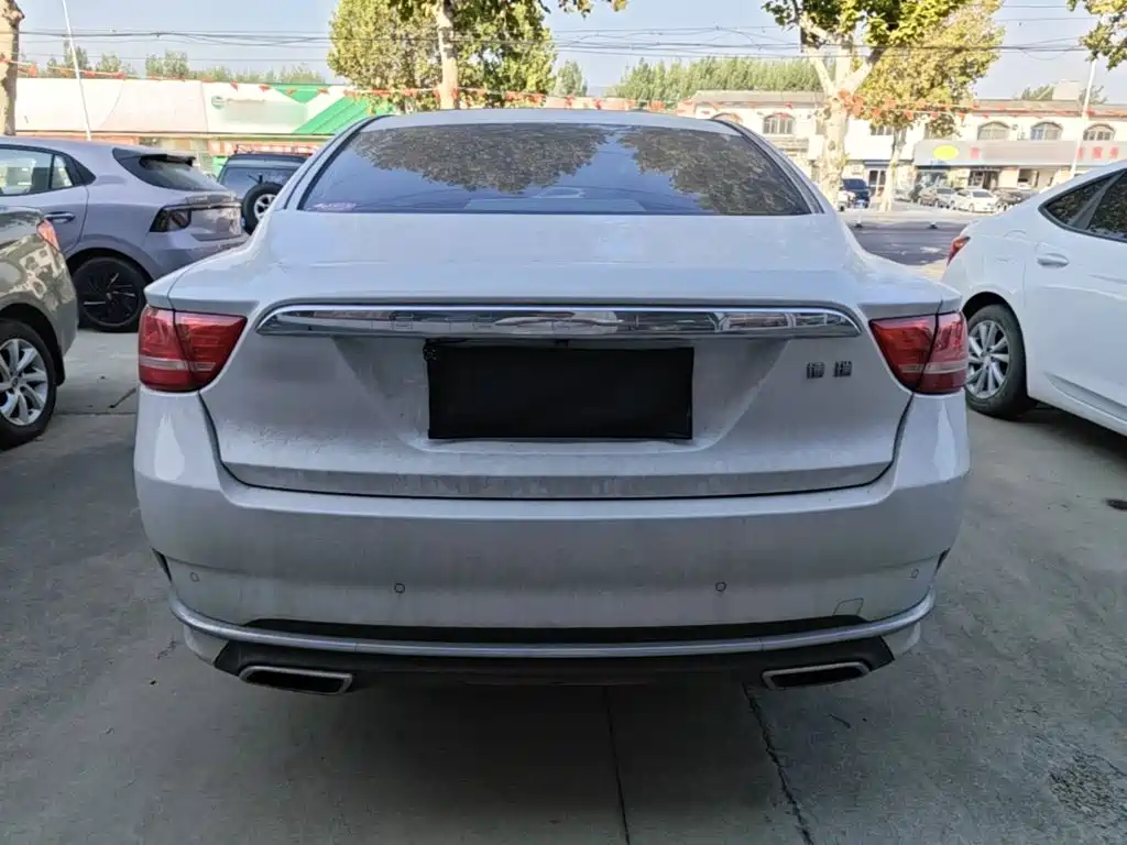 Фото 6 - Geely Borui