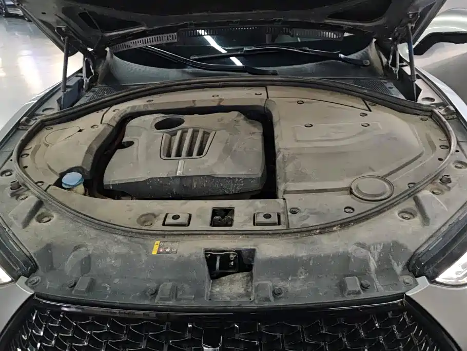 WEY P8 2018 2018 2.0T Flagship Model