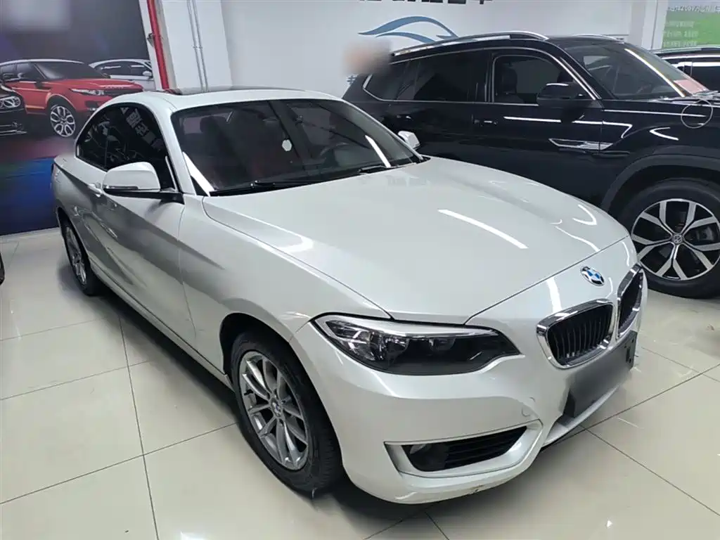 BMW 2 Series (Import) 2015 218i фото 4