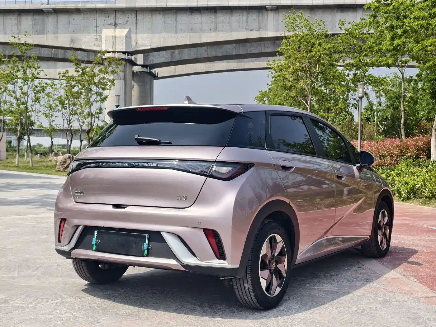 BYD Dolphin 2025 420km Fashion Edition фото 6