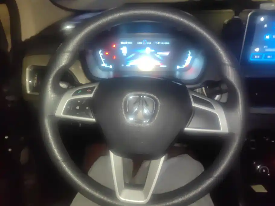 Photo 15 - BAIC Weiwang M50F