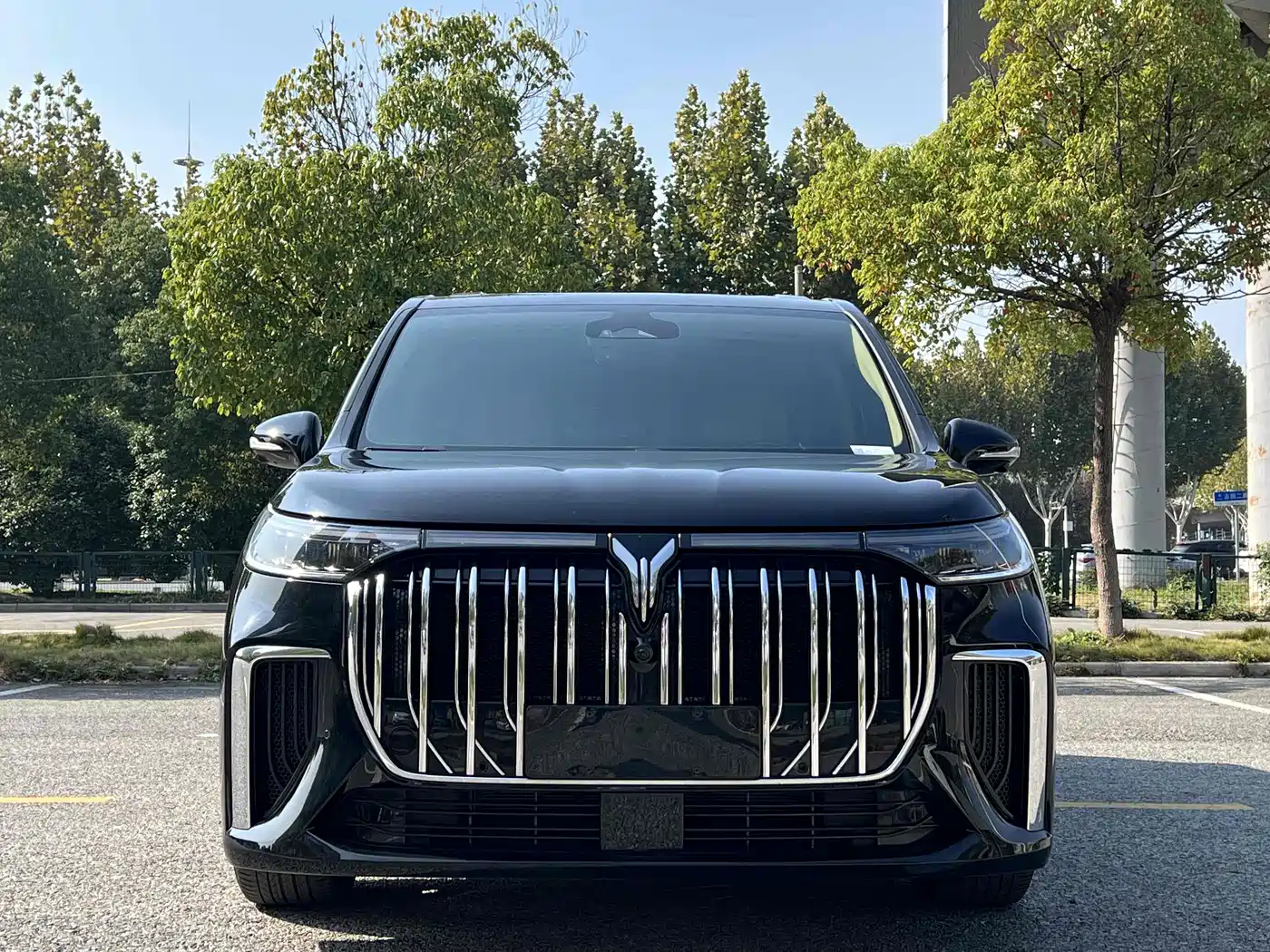 Voyah Auto Voyah Dreamer 2022 Low-carbon Dream+Smart Package фото 3