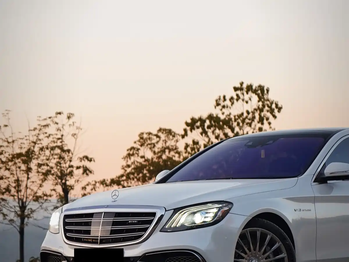 Mercedes-Benz S-Class AMG 2014 AMG S 65 L фото 4