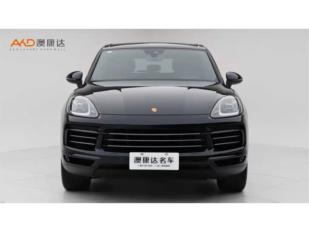 Porsche Cayenne 2022 Cayenne 3.0T Platinum Edition фото 2