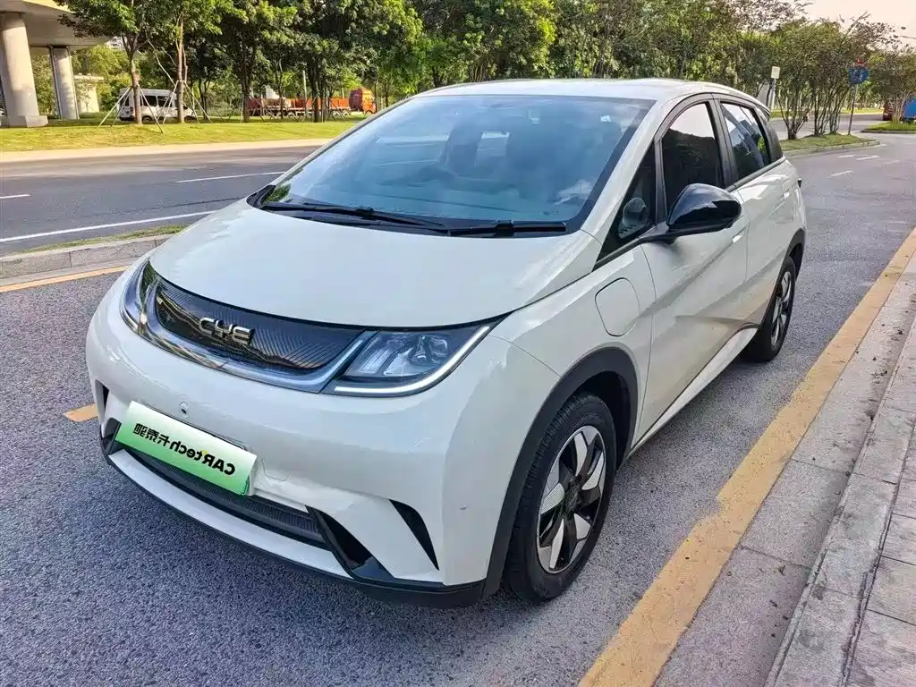 BYD Dolphin 2024 Glory Edition 420km Freedom Edition