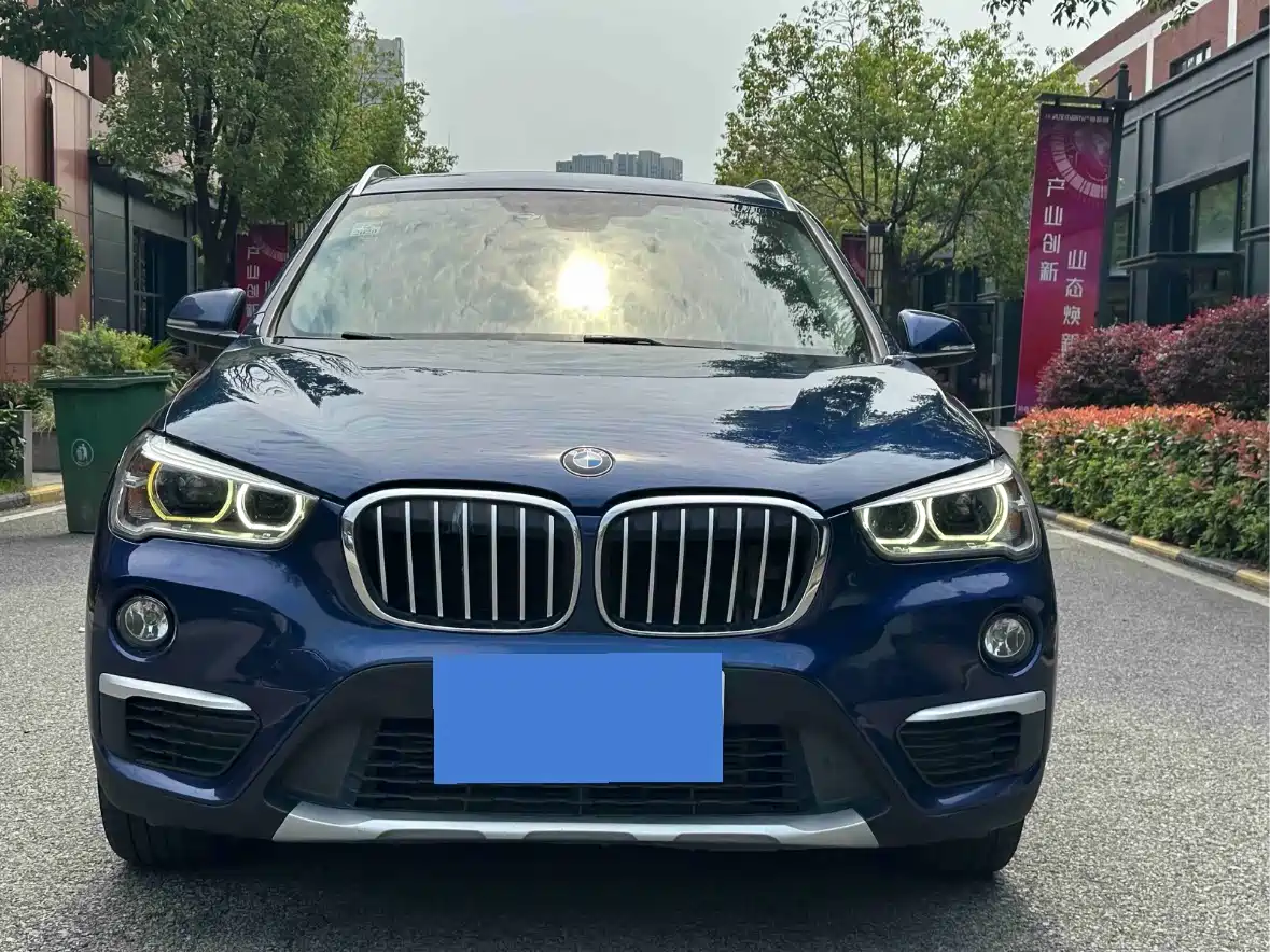 BMW X1 2018 xDrive20Li Premium Model фото 2