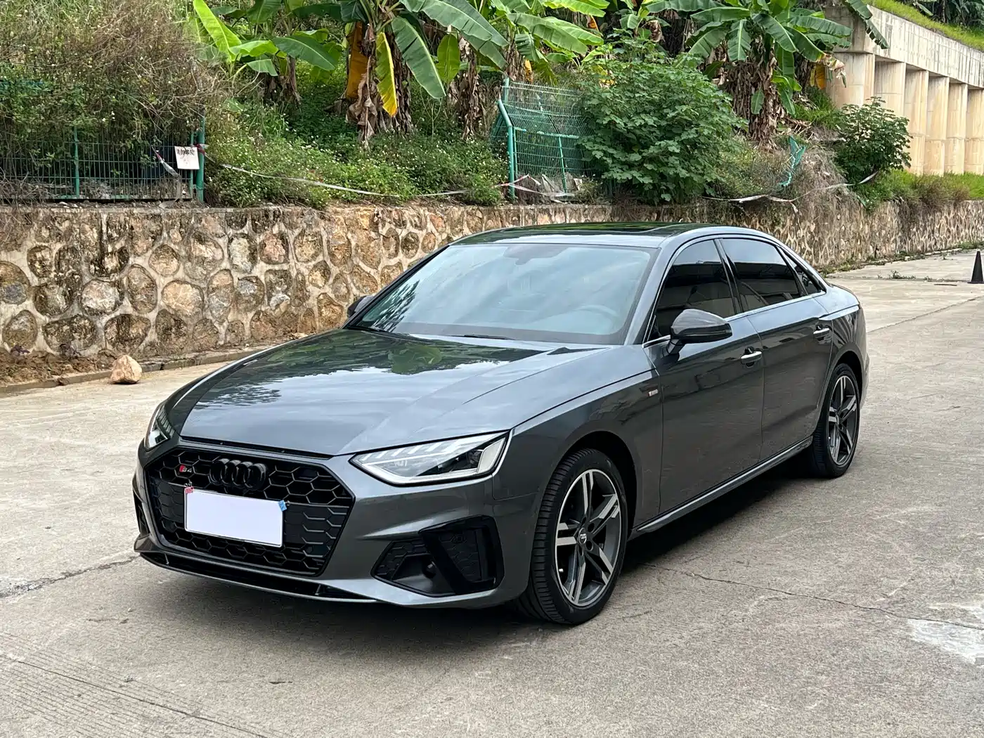 Audi A4L 2020 40 TFSI Luxury Dynamic