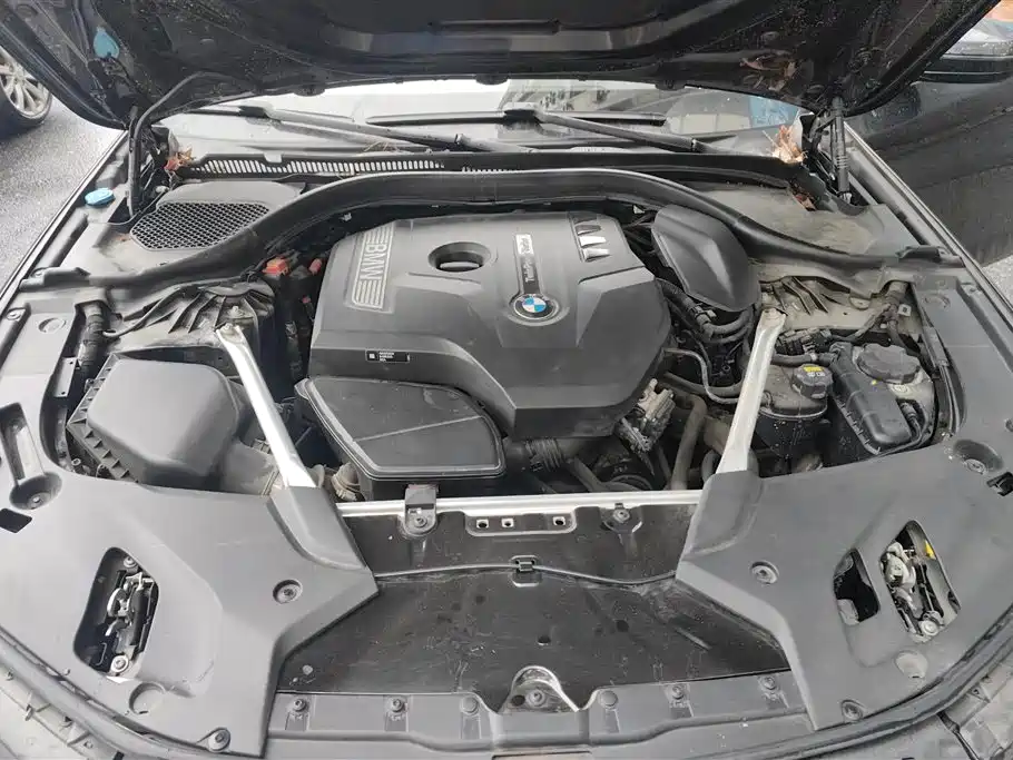 BMW 5 Series 2020 530Li Leading M Sport Package фото 10