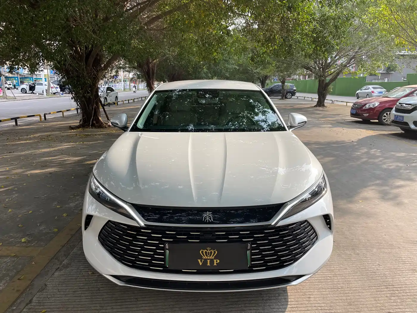 BYD Qin L 2024 DM-i 80KM Leading Edition фото 2