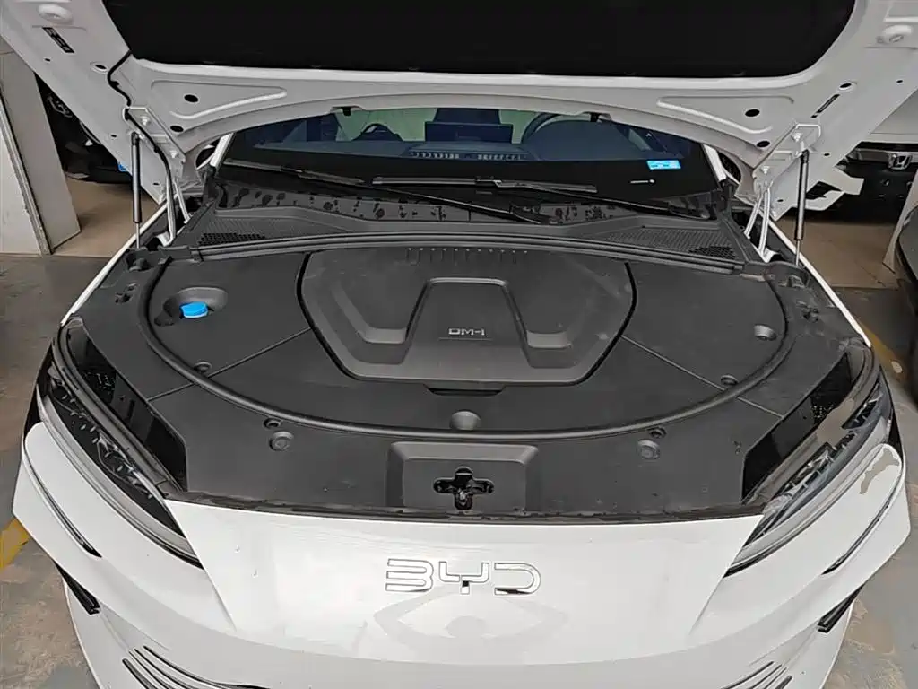 BYD Song PLUS PHEV 2025 DM-i 112KM Premium фото 20