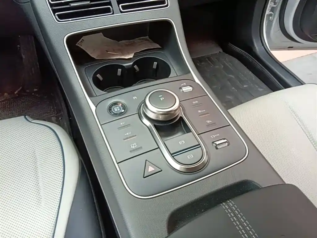 BYD Destroyer 05 2024 Glory Edition DM-i 55KM Luxury фото 14
