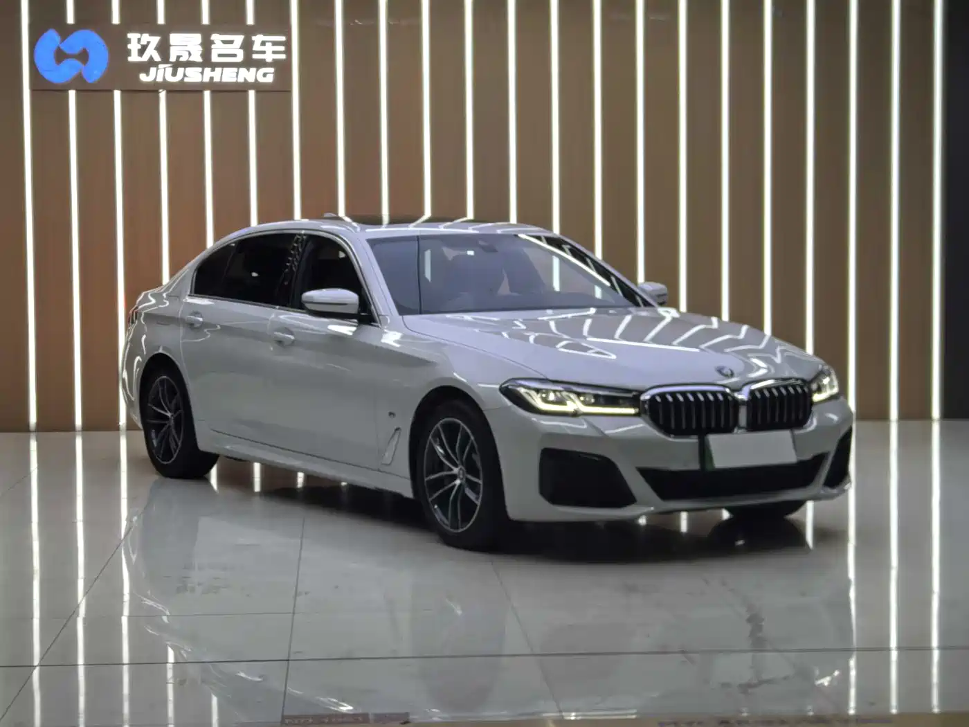 BMW 5 Series New Energy 2021 Facelift 535Le M Sport Package фото 3