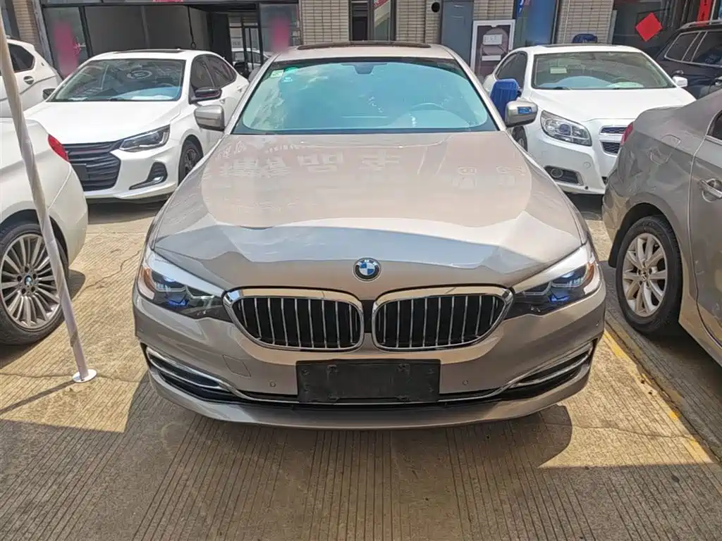 BMW 5 Series 2018 Facelift 530Li Leading Luxury Package фото 3
