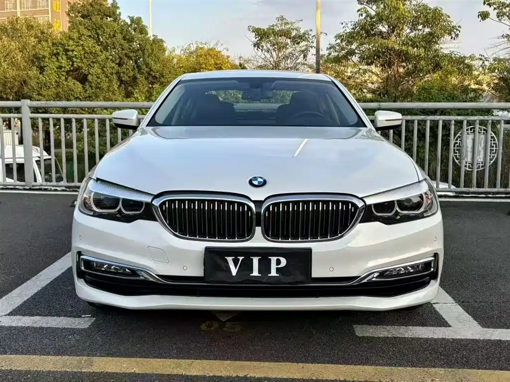 BMW 5 Series 2018 530Li xDrive Luxury Package фото 2