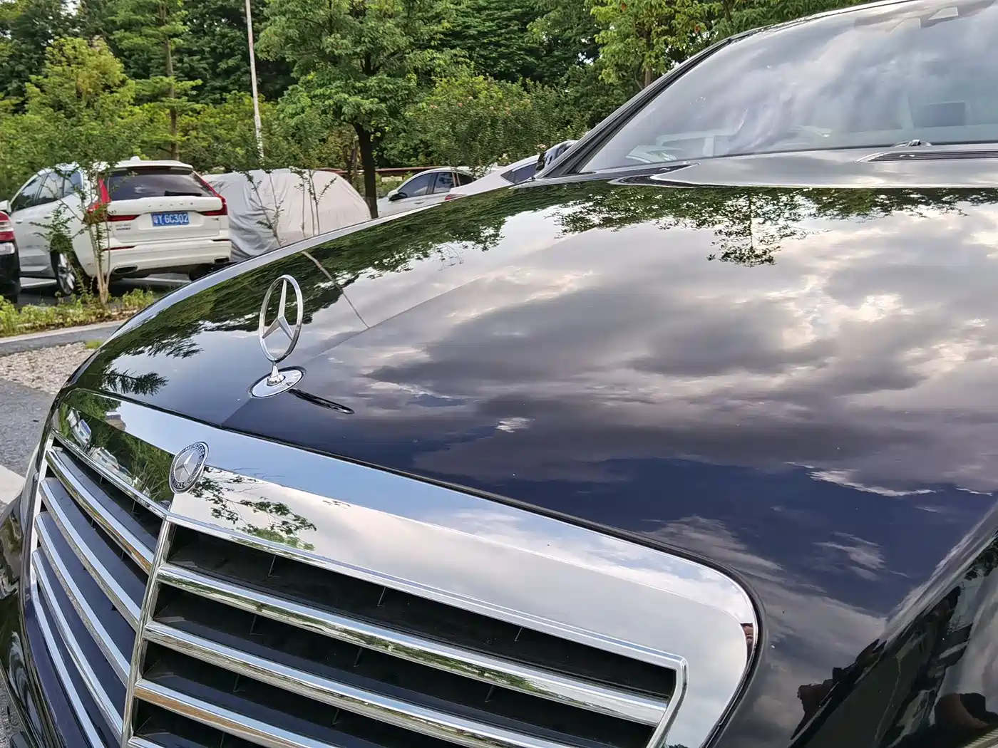 Mercedes-Benz S-Class 2010 S 350 L Luxury фото 18