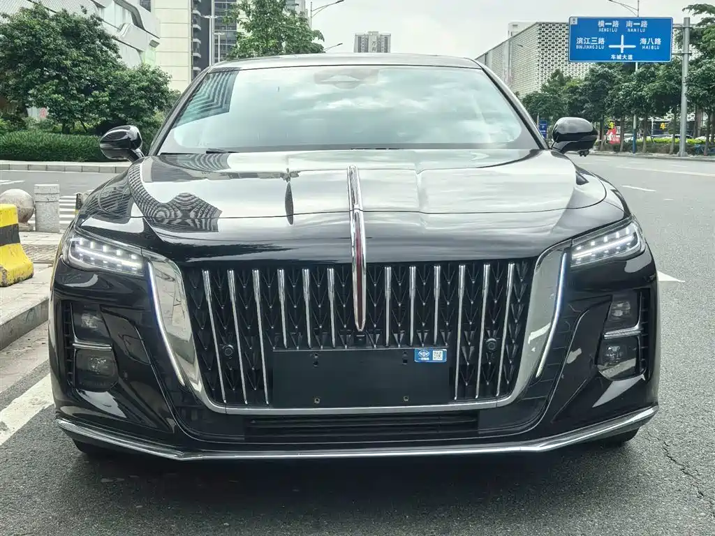 Hongqi H5 2023 2.0T Auto Smart Connect Flag Enjoy фото 2