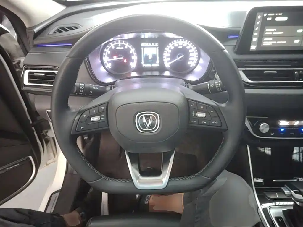 Changan Ruicheng CC 2021 2022 Blue Whale Edition 1.5T DCT Luxury