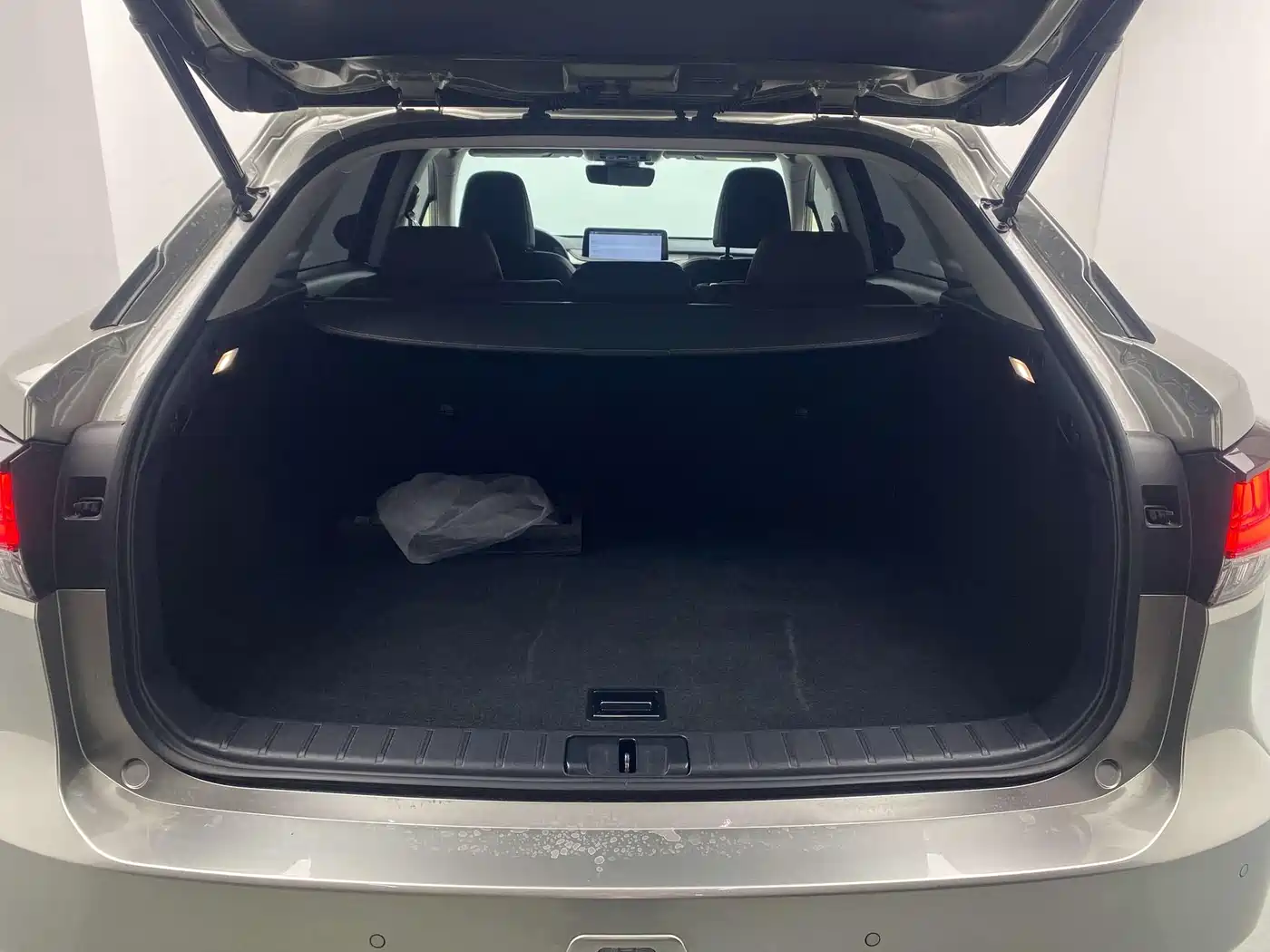 Lexus RX 2020 Facelift 300 AWD Elegance Edition фото 9