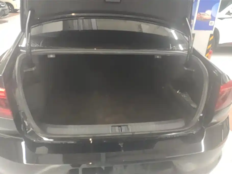 Volkswagen Magotan 2020 330TSI DSG Premium фото 4