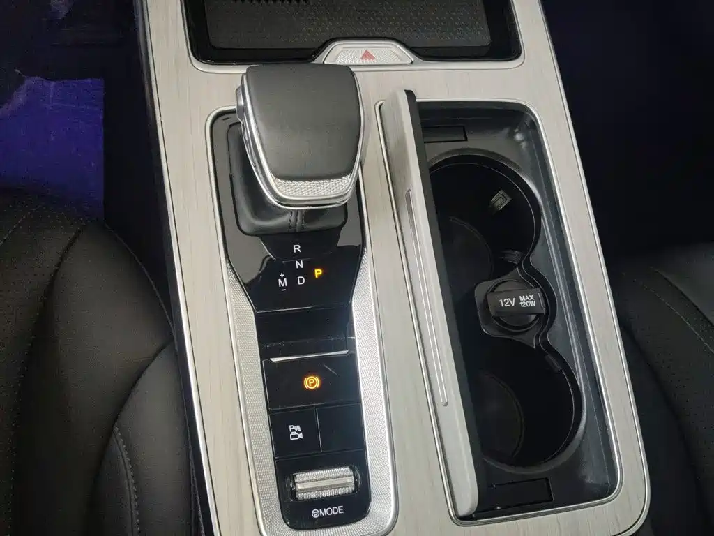 Hongqi HS5 2025 2025 2.0T 2WD Qixiang Pro