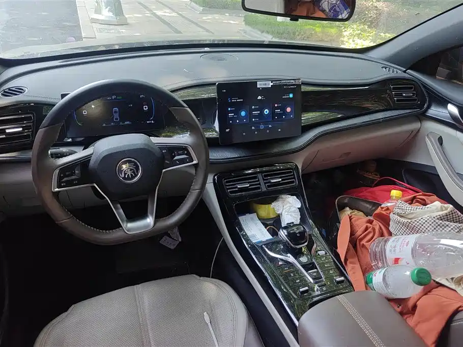 BYD Qin PLUS 2023 Champion Edition DM-i 55KM Leading фото 12