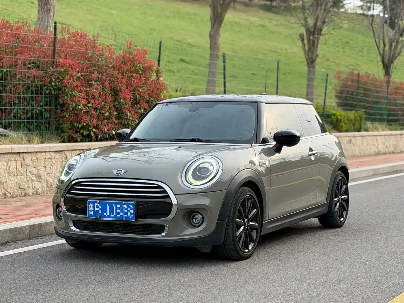 MINI MINI 2020 1.5T COOPER Artist