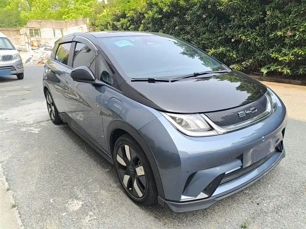 BYD Dolphin 2023 401km Knight Edition фото 4