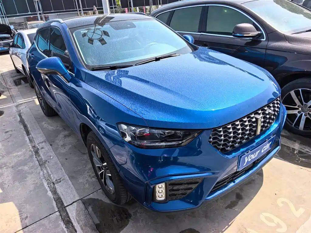 WEI PAI WEI BRAND VV5