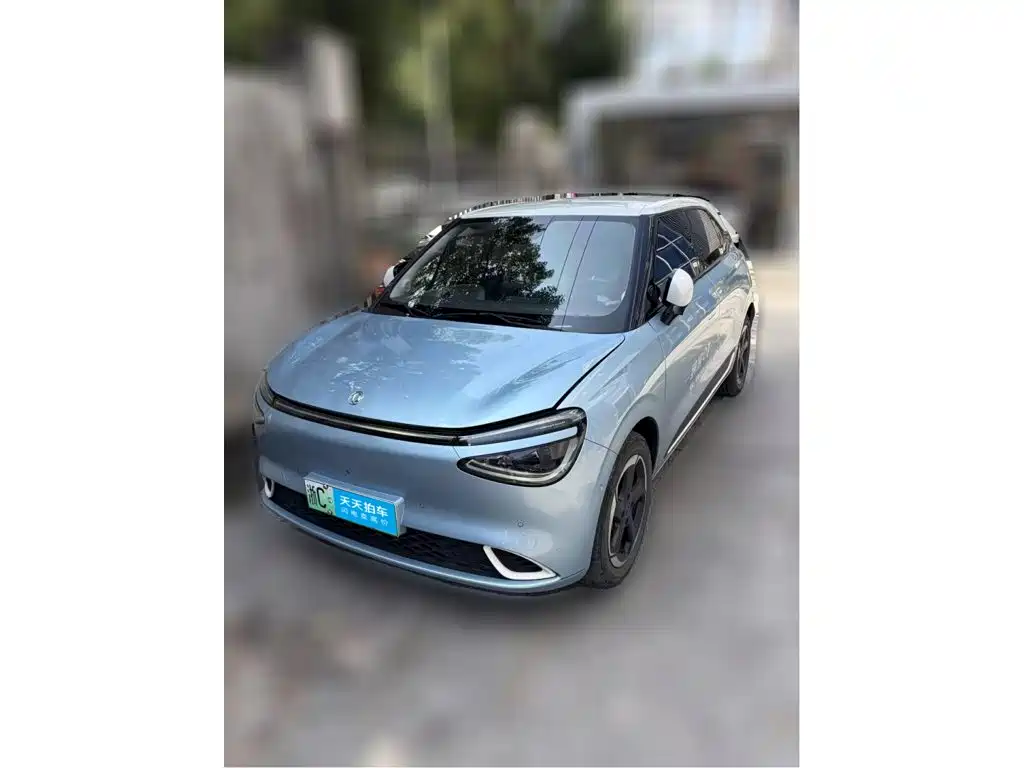 Dongfeng Yipai Nano 01 2024 2024 430 Max Smart+