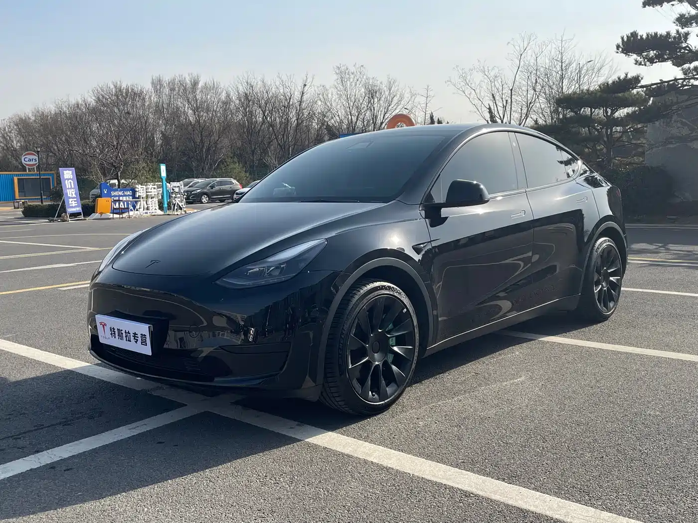 TESLA MODEL Y