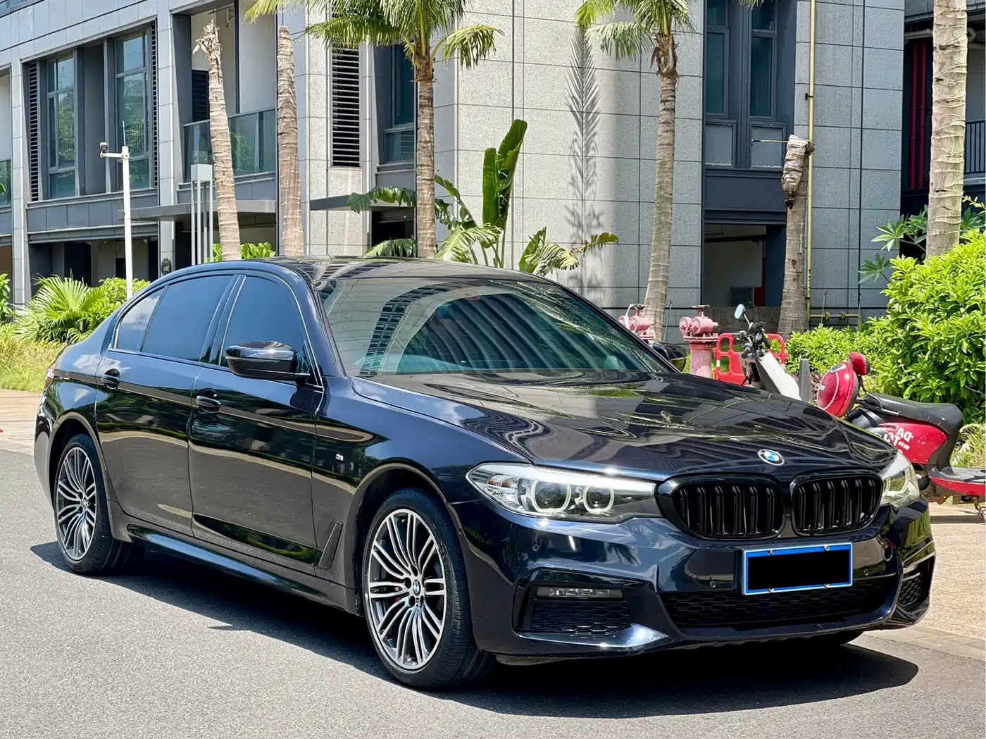 BMW 5 Series 2019 530Li Leading M Sport Package фото 3