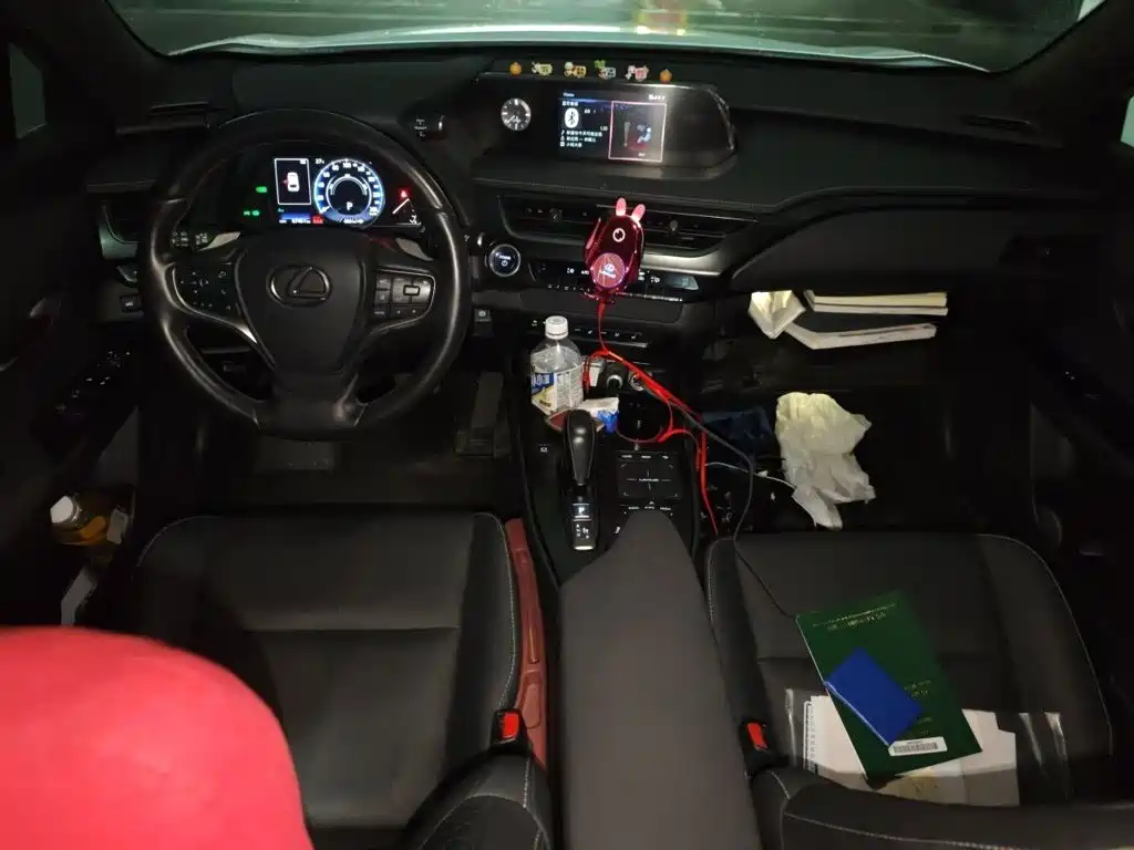 Lexus UX Electric 2021 2020 300e Pure Yue Edition
