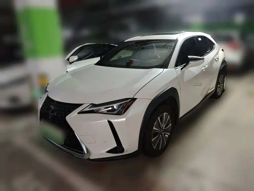 Lexus UX Electric 2021 2020 300e Pure Yue Edition