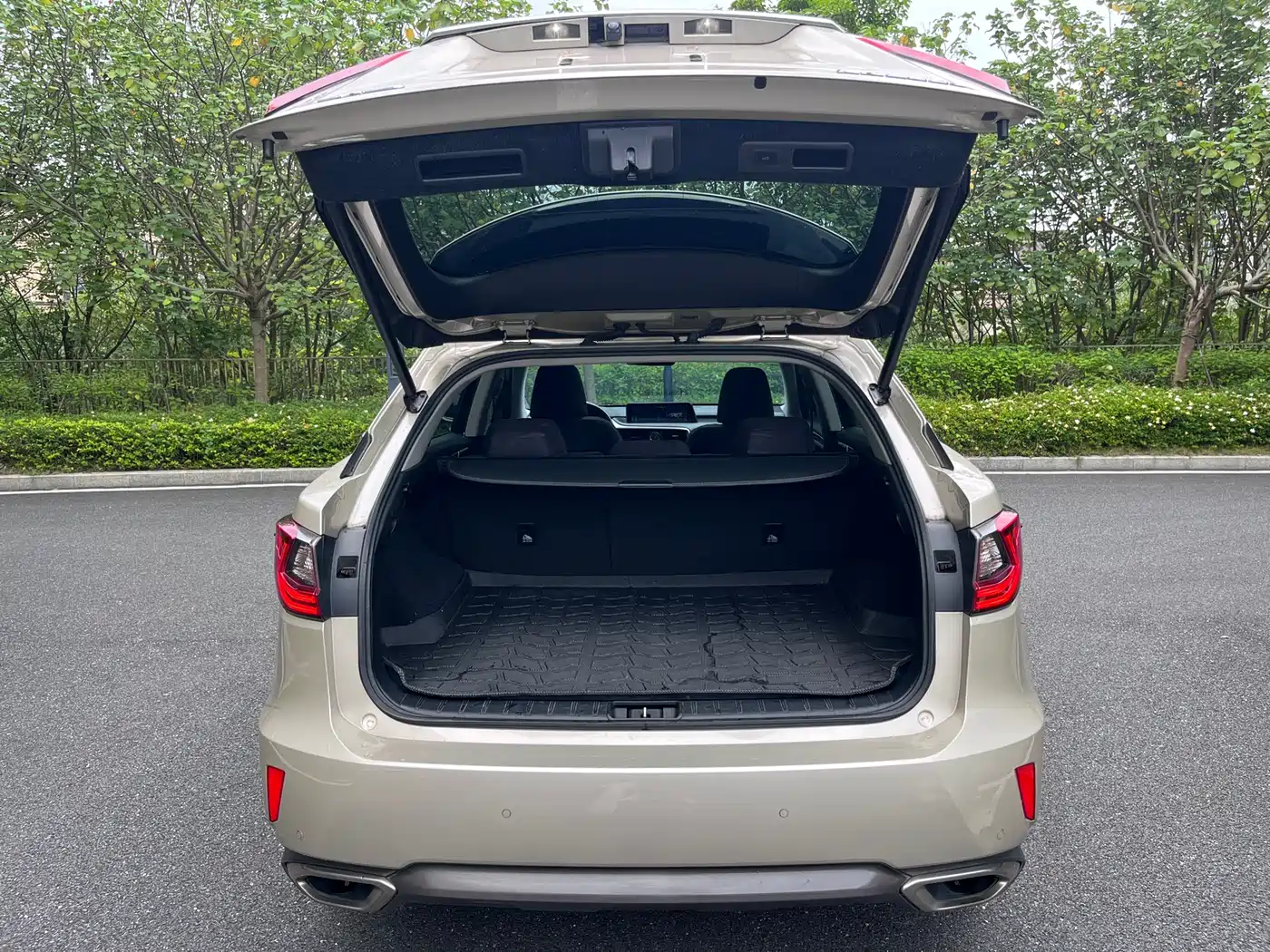 LEXUS RX