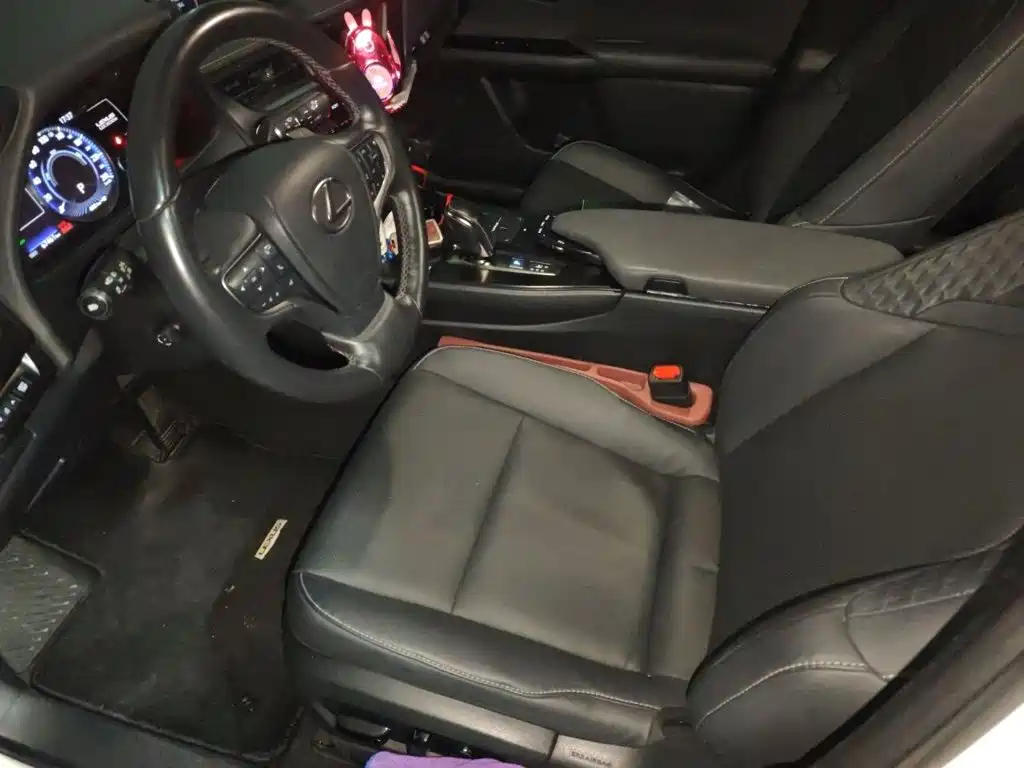 Lexus UX Electric 2021 2020 300e Pure Yue Edition
