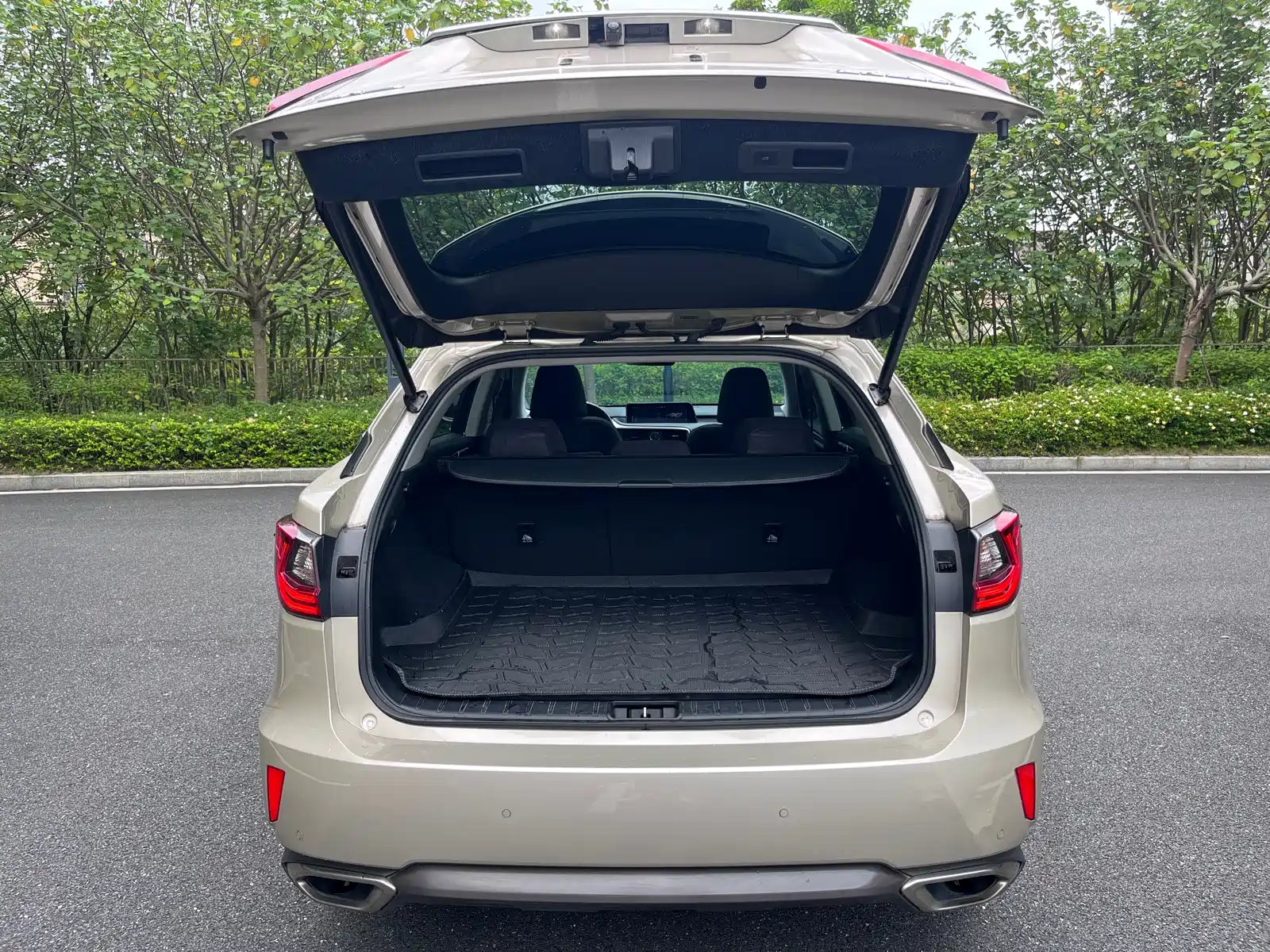 Photo 19 - Lexus RX