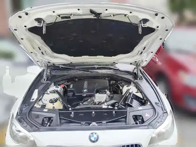 BMW 5 Series 2014 525Li Leading — фото 3