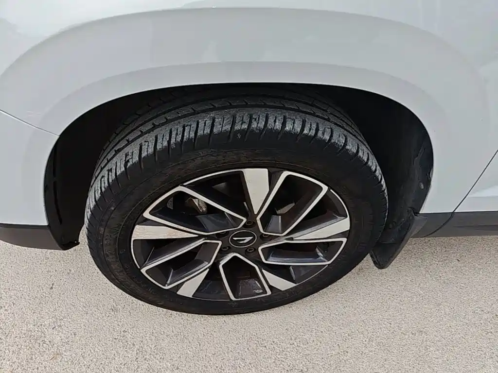 Фото 23 - Jetta VS5
