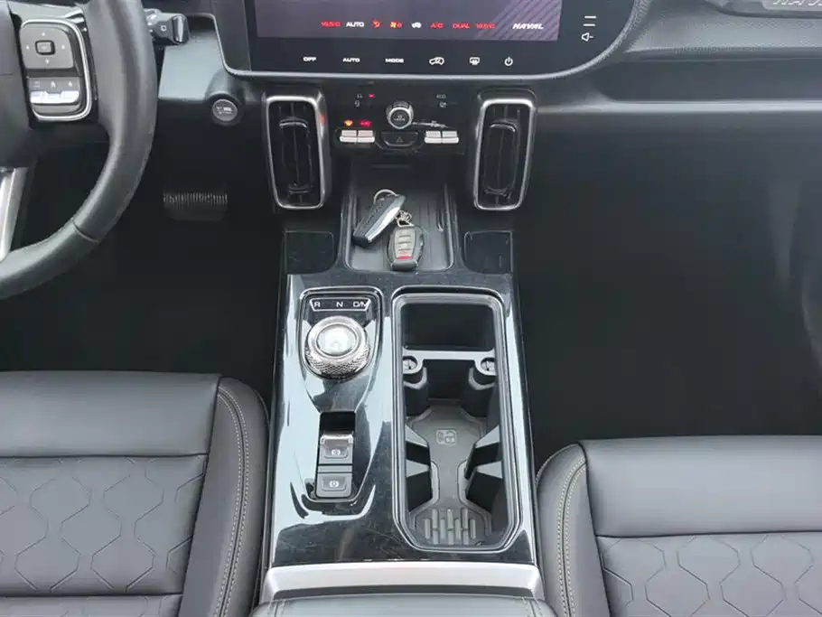 Haval Big Dog 2021 1.5T DCT 2WD Border Collie Edition фото 16