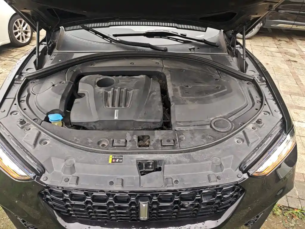 WEY VV7 2018 2017 2.0T Super Luxury