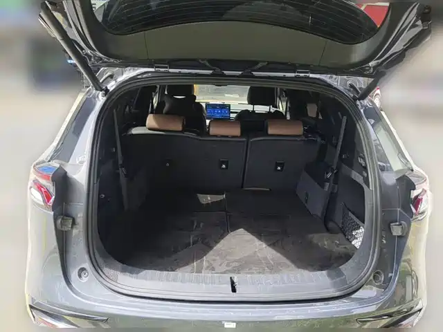 BYD Tang New Energy 2021 DM-i 112KM Premium — фото 5