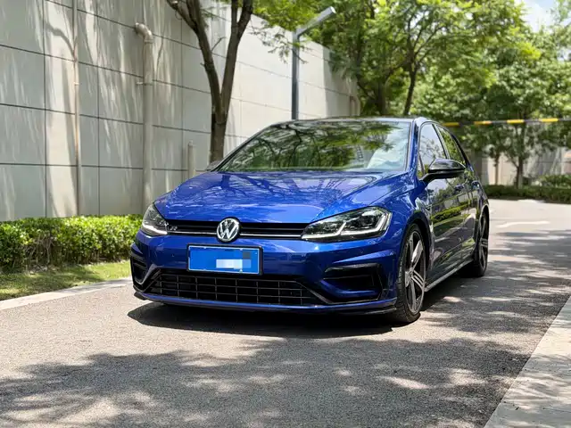  Volkswagen Golf (Import) 2017 2.0TSI R