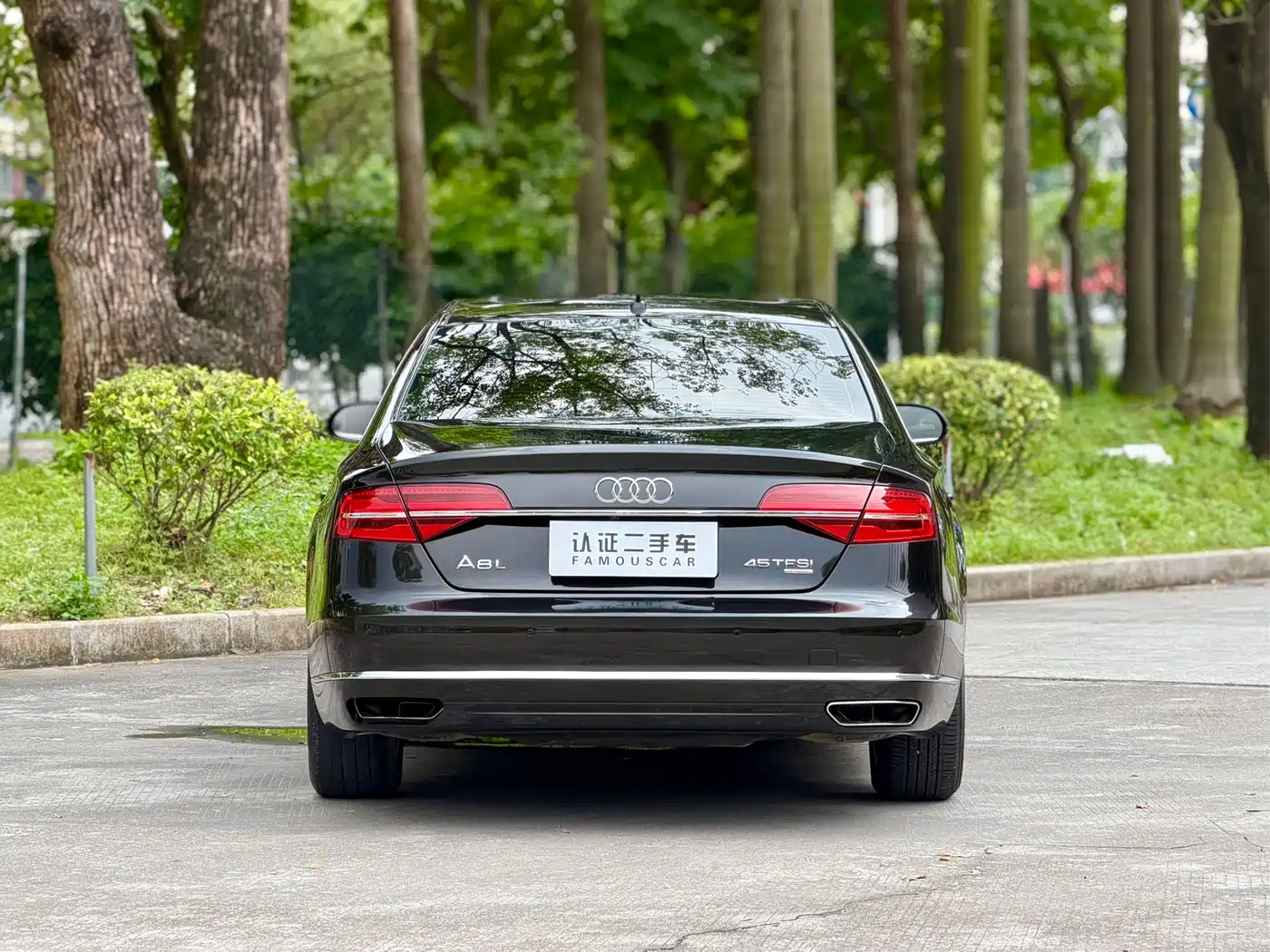 Audi A8 2014 A8L 45 TFSI quattro Comfort фото 6