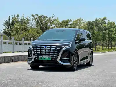 Denza D9