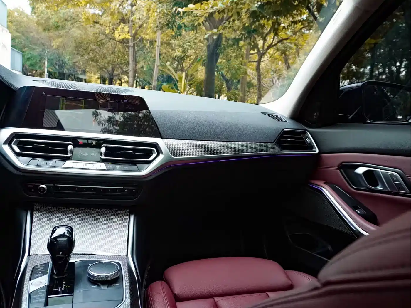 BMW 3 Series 2021 325Li M Sport Night Edition фото 12
